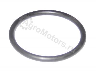 01319139 Кольцо ТНВД ORIGINAL DEUTZ  Вид 1