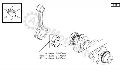 02931753 Вкладыш шатунный Вид 1