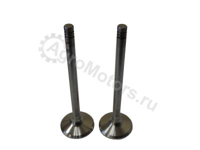 040520101301 Выпускной клапан Вид 1