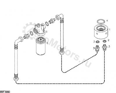 01175851 Кольцо уплотнительное Вид 1 01175851 Кольцо уплотнительное Вид 1