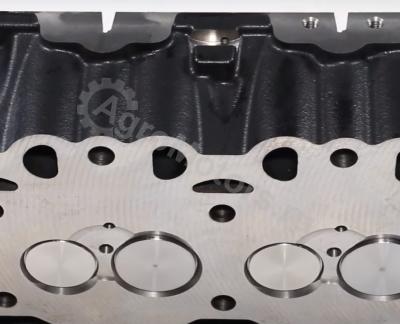 04291729 Головка блока цилиндров Вид 9