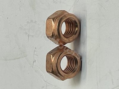 01144673 Гайка (системы выпуска отработанных газов) Вид 3