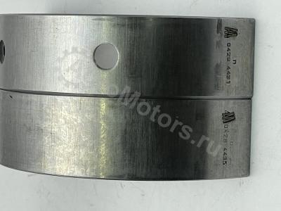 02931580 Вкладыш коренной Вид 4 02931580 Вкладыш коренной Вид 4