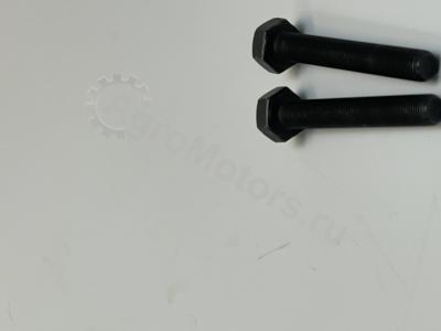 04204188 Болт маховика Вид 3