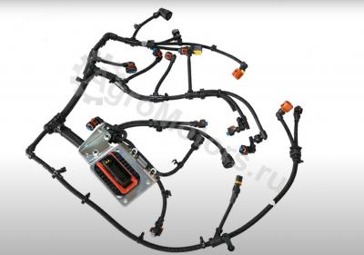 04211145 ЖГУТ ПРОВОДОВ Вид 2