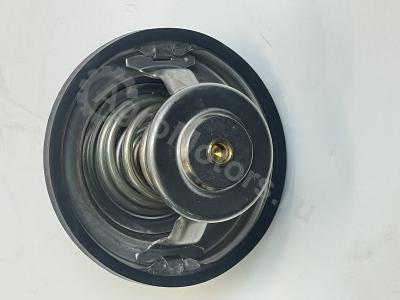 04224847 Термостат Вид 5