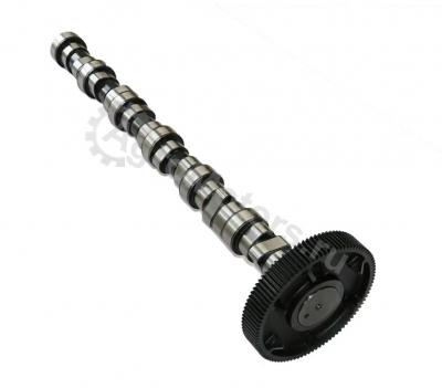 04909276 Распредвал Вид 3