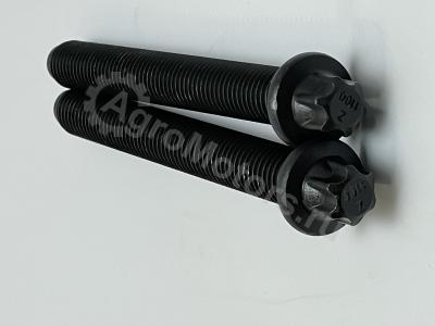 04251251 Болт ГБЦ Вид 5 04251251 Болт ГБЦ Вид 5