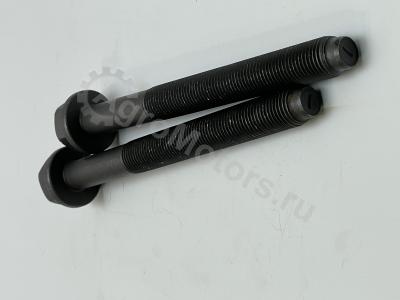 04254240 Болт коренной Вид 1