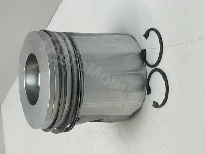 04255043 Поршень (кольца, стопор, палец) Вид 3