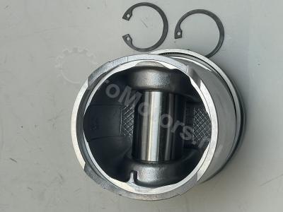 04255043 Поршень (кольца, стопор, палец) Вид 7