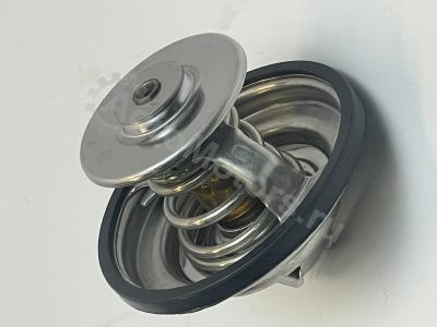 04262003 Термостат Вид 1