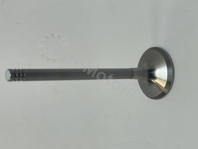 04280048 Впускной клапан Вид 2 04280048 Впускной клапан Вид 2