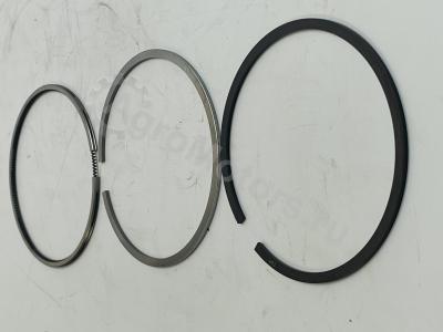 04280565 Комплект поршневых колец Вид 1