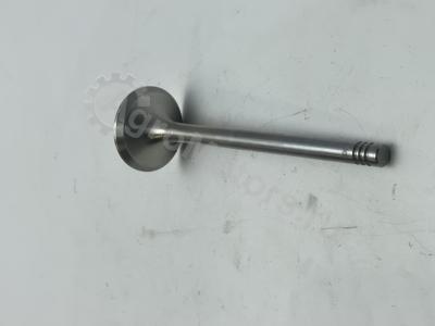 04283381 Клапан выпускной Вид 6