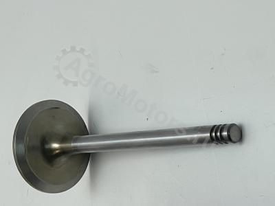 04285985 Клапан впускной Вид 1