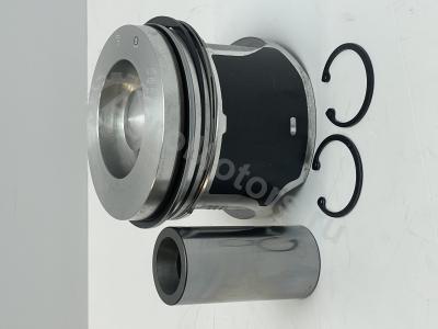 04501366 Поршень в сборе (поршневые кольца, палец, стопор) Вид 5