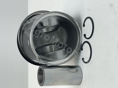 04501366 Поршень в сборе (поршневые кольца, палец, стопор) Вид 6