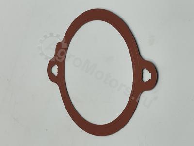 04903098 Прокладка водяного патрубка (корпус термостата) Вид 4