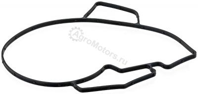 704880 Прокладка, водяной насос Вид 1 704880 Прокладка, водяной насос Вид 1