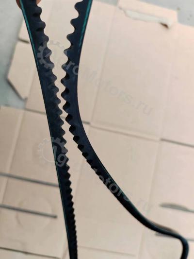 02235175 КЛИНОВОЙ РЕМЕНЬ Вид 3