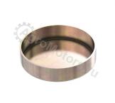 R82007 Заглушка распредвала