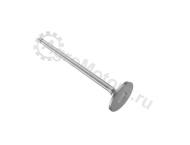 R520223 Клапан впускной