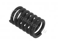 R504235 Пружина клапана