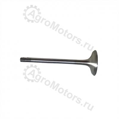 04170898 Впускной клапан Вид 1