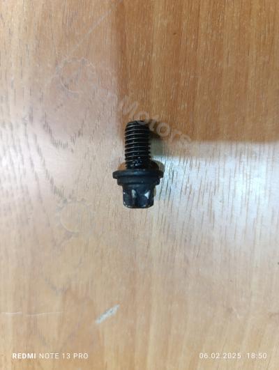 01140019 Болт под торкс Вид 2