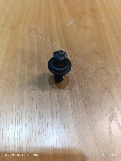 01140019 Болт под торкс Вид 1