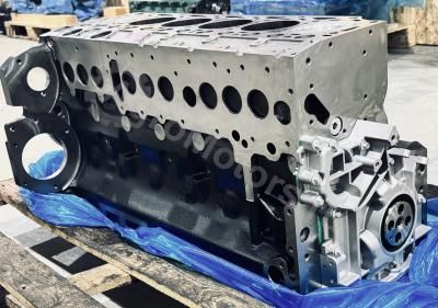 04600336 Шорт  Блок TCD 6.1 Вид 8