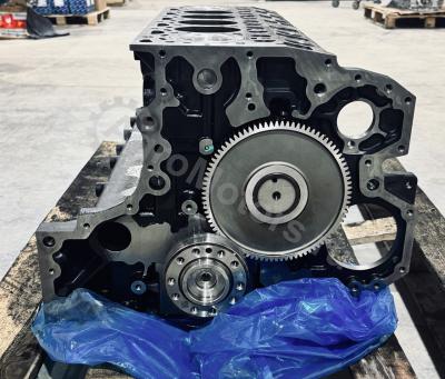 04600336 Шорт  Блок TCD 6.1 Вид 11