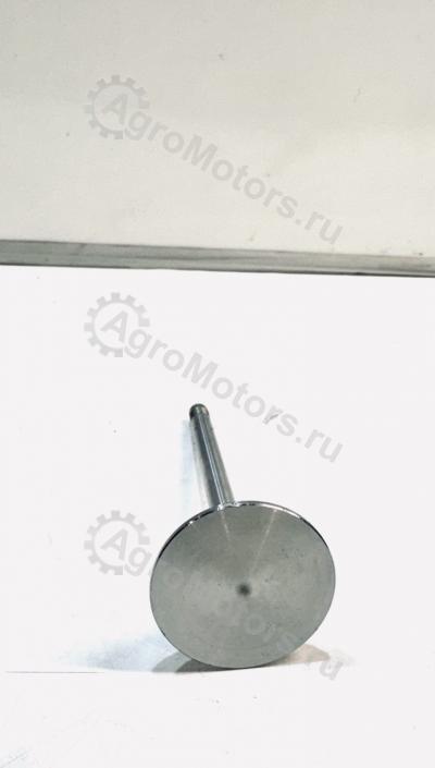 04220143 Впускной клапан Вид 2